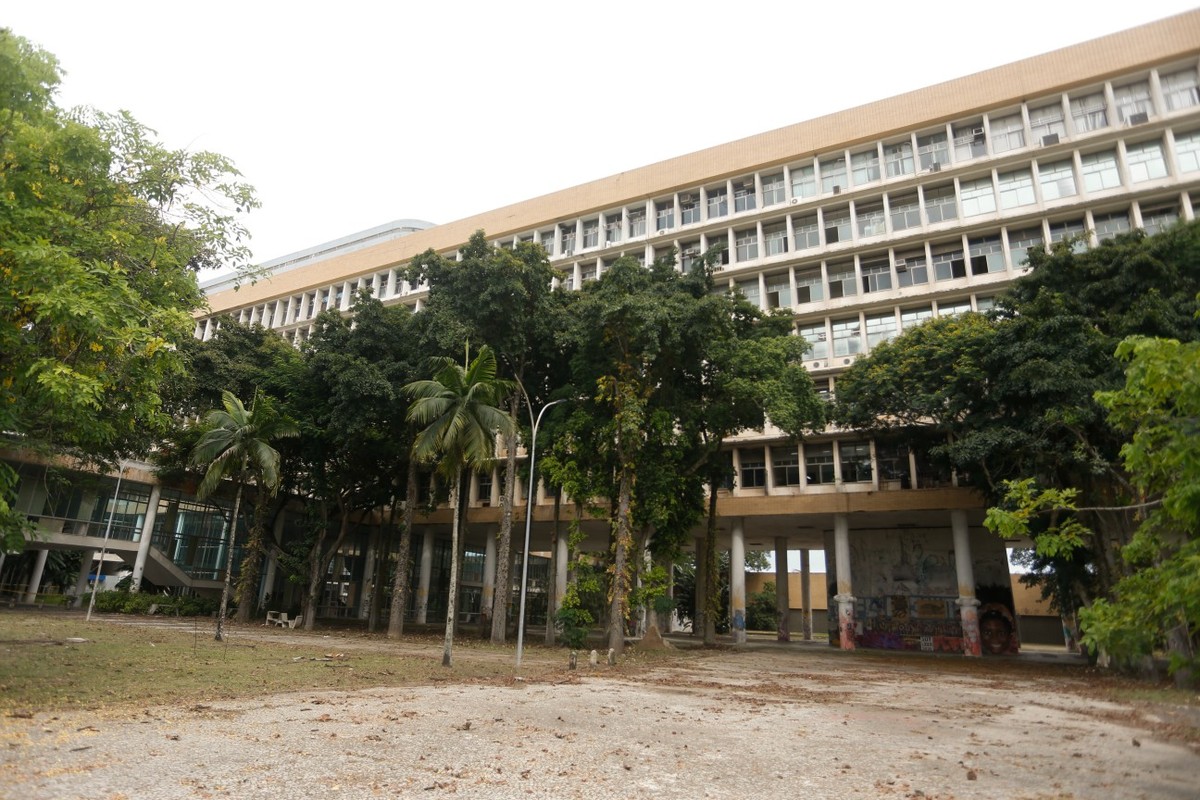 UFRJ cria 24 vagas de cotas para pessoas trans em novo edital de inclusão