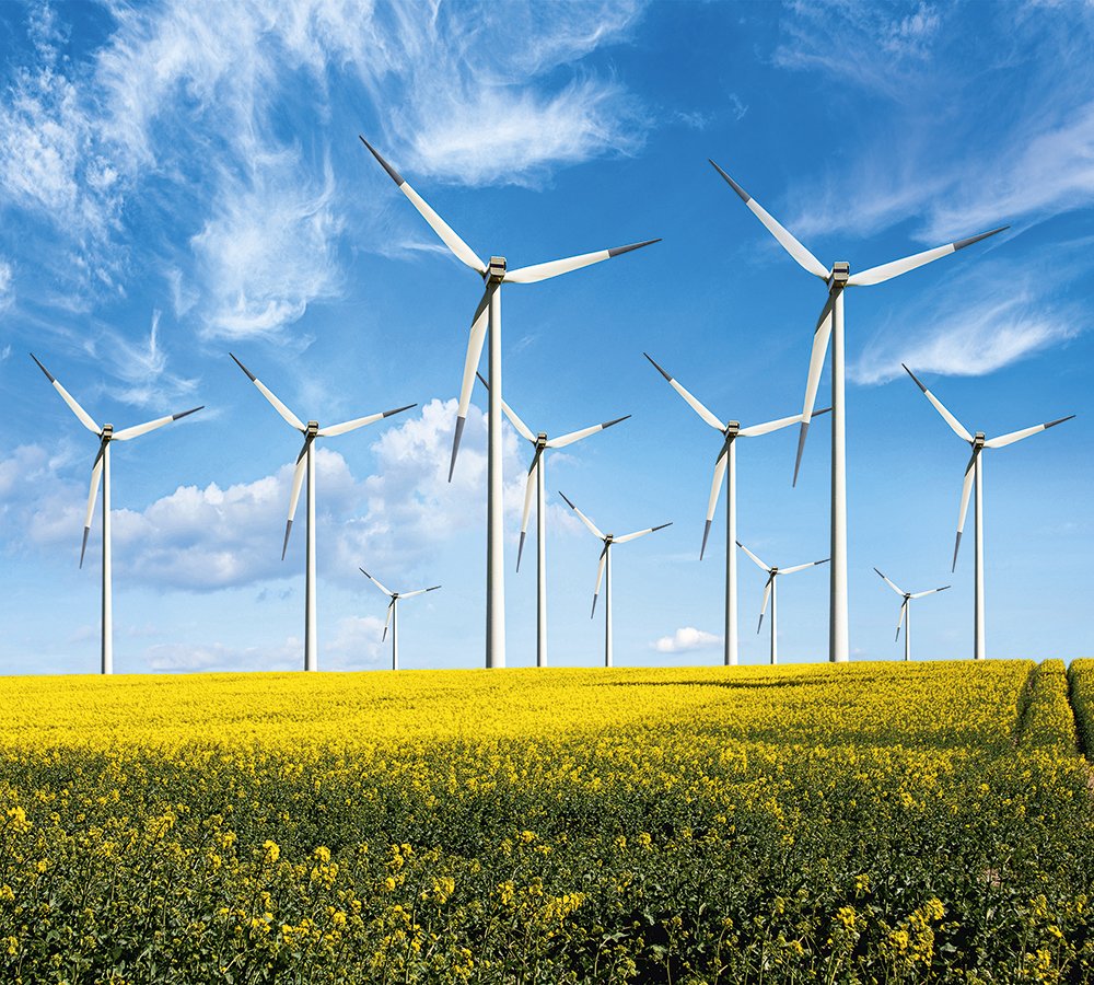 Indústria brasileira avança em energia renovável e sustentabilidade em 2024