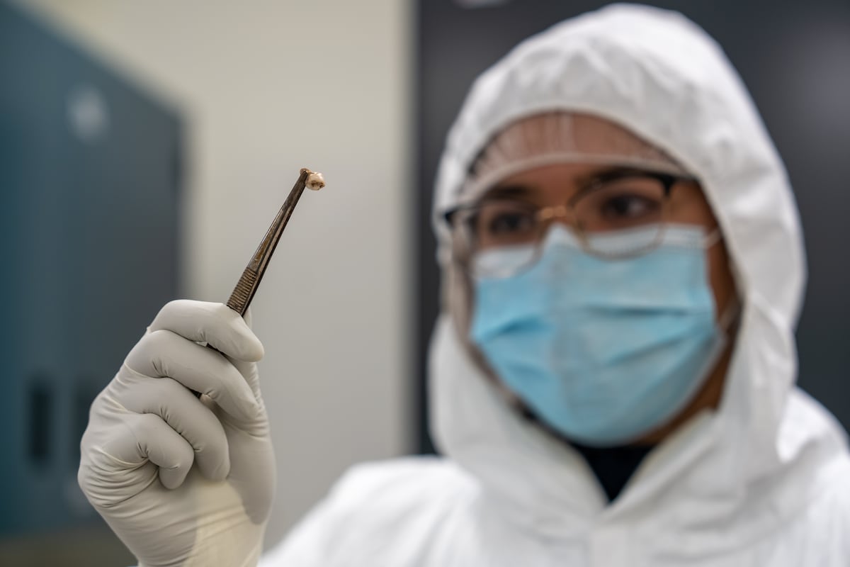 A genetista Ravneet Sidhu examina um dente do cadáver de uma pessoa falecida por peste, na Universidade McMaster, em Ontário (Canadá). (Foto: McMaster University)