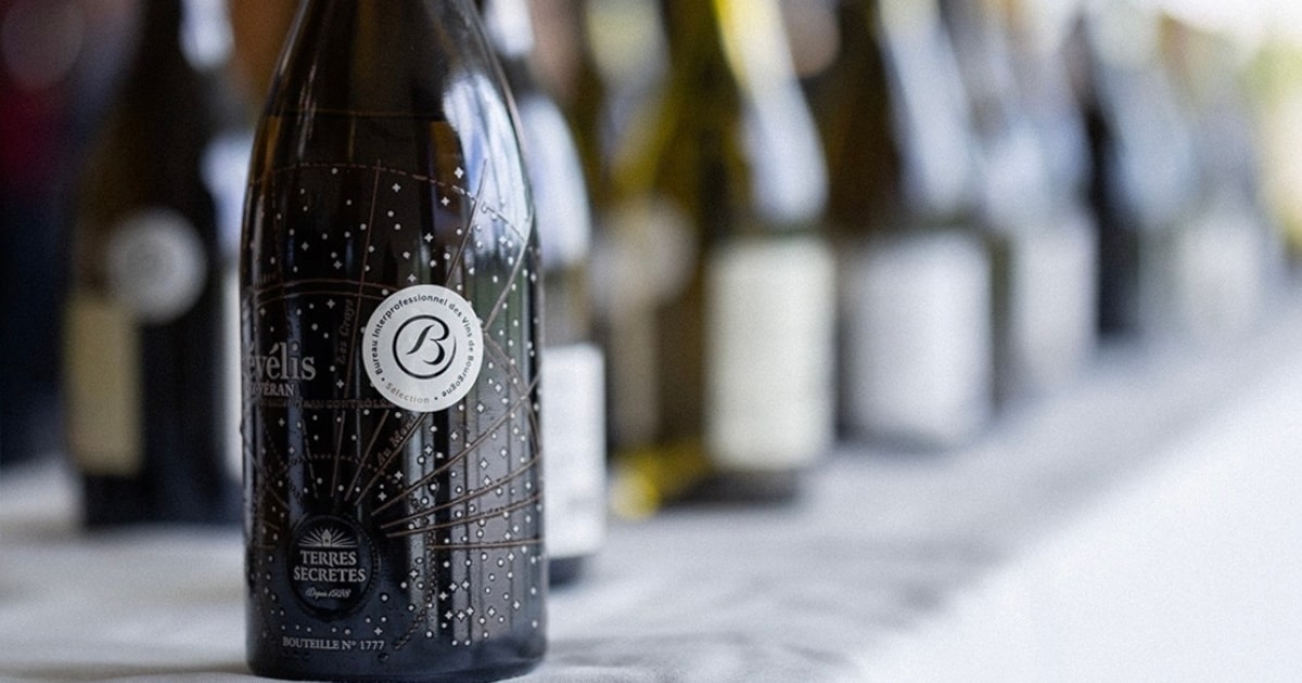 Borgonha busca expandir mercado no Brasil com vinhos de regiões menos conhecidas