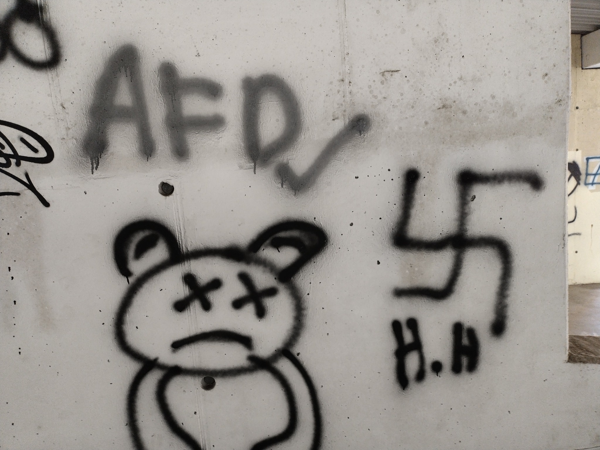 Neonazismo cresce entre jovens em cidade alemã sob governo da extrema direita