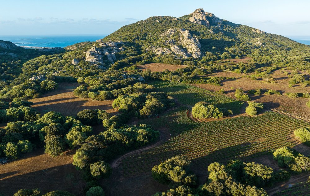 Oenoturismo na Provence e na Córsega destaca belezas do sul da França
