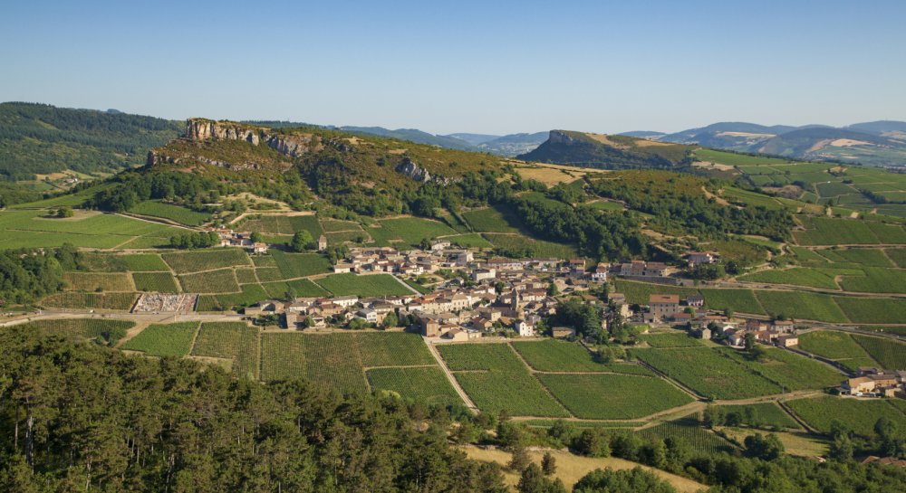 Bourgogne apresenta 185 cuvées acessíveis que merecem sua atenção
