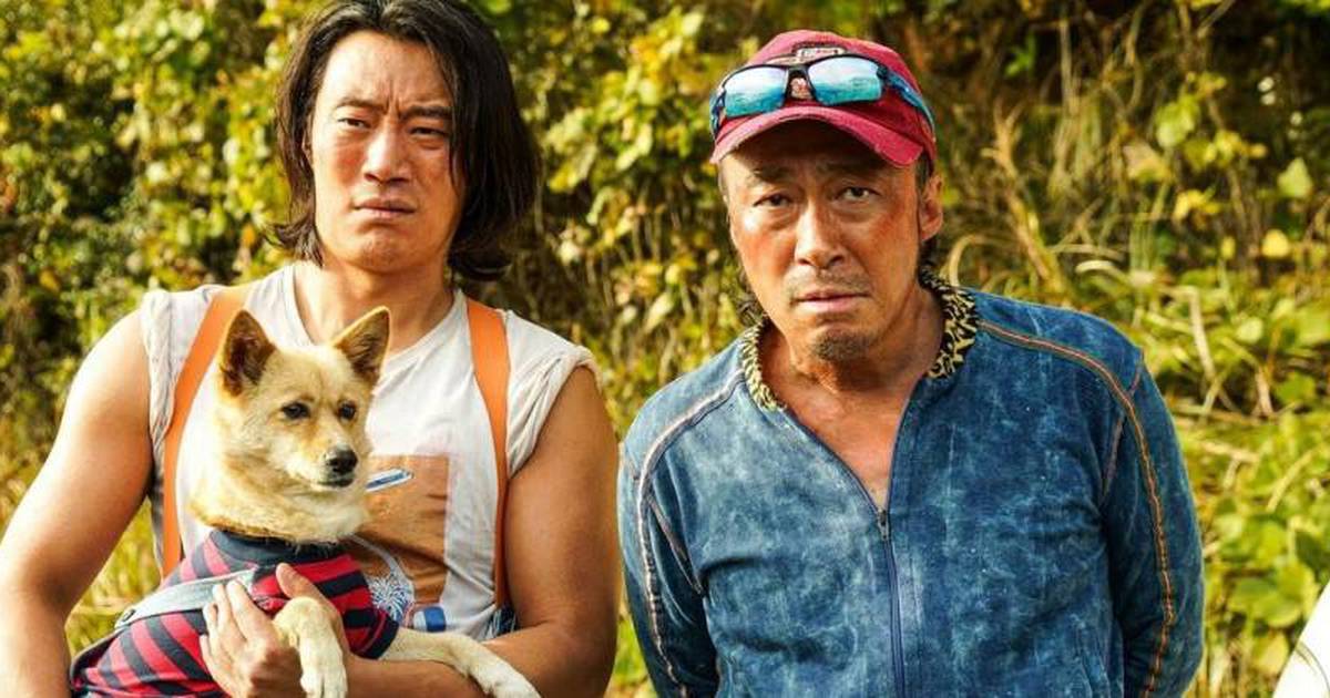 "Os Galãs mistura humor e terror em homenagem a clássicos do cinema"