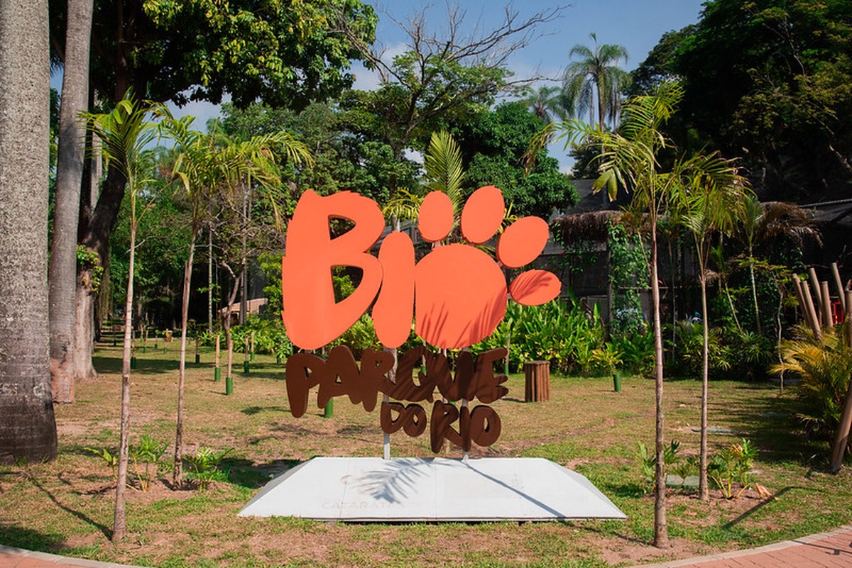 Galinhas-d'Angola e pavões morrem no BioParque do Rio; total chega a 18 animais