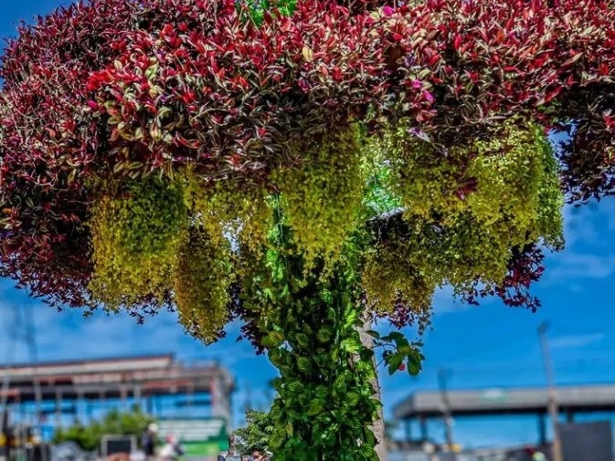 Estrutura usa plantas reais em vergalhões e metal recicláveis (Foto: Leonardo Macêdo/Ascom SEOP)
