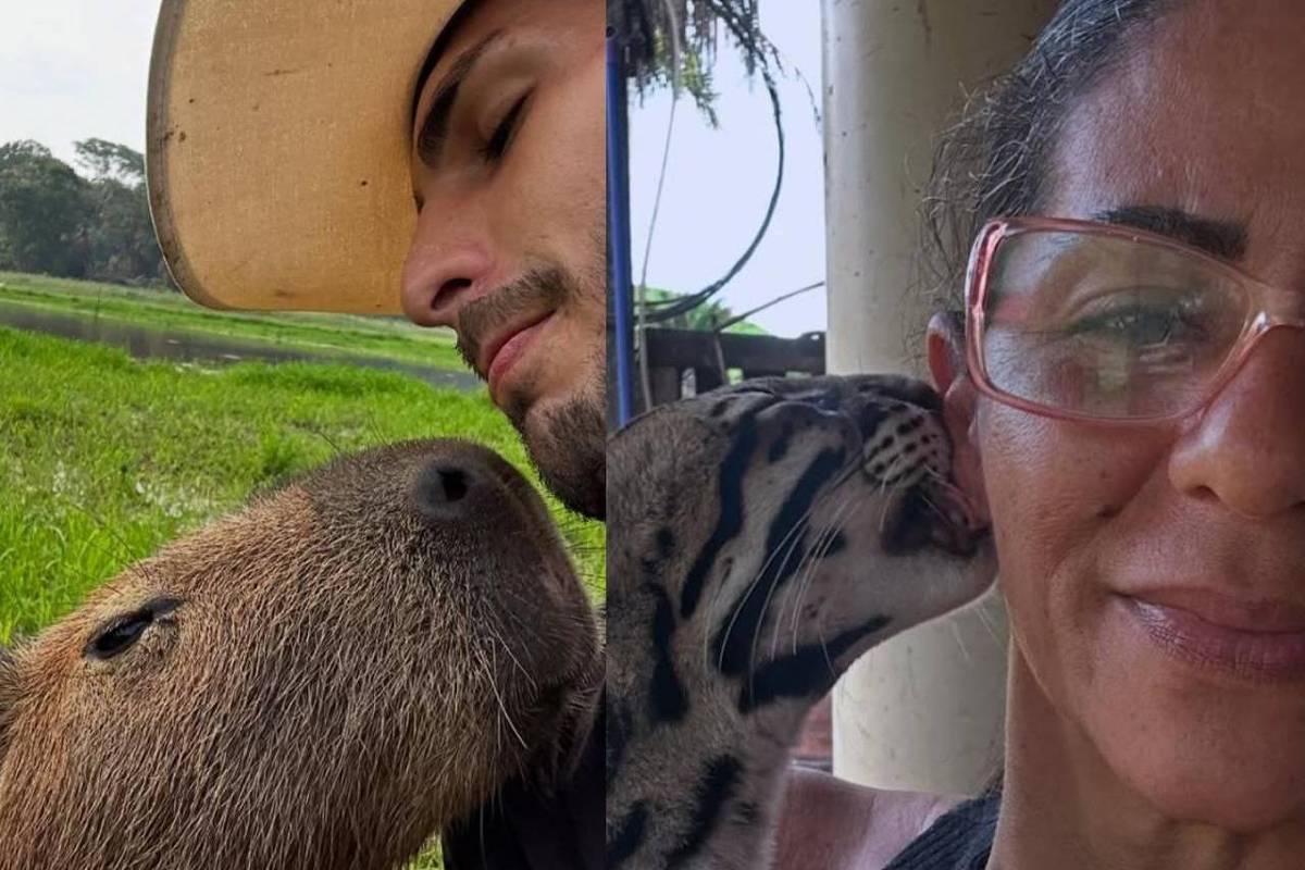Influencers ganham destaque ao exibir animais selvagens como animais de estimação