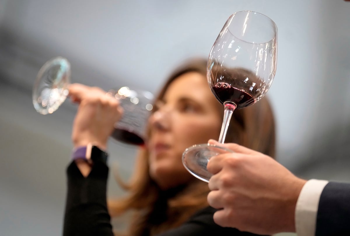 Novas gerações do vinho espanhol se unem para fortalecer a tradição vitivinícola