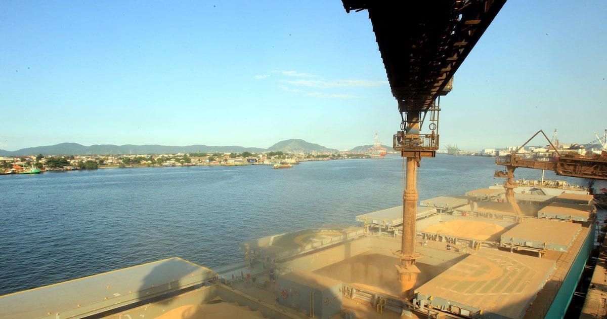 Brasil lidera exportações com os 10 principais produtos do ranking nacional