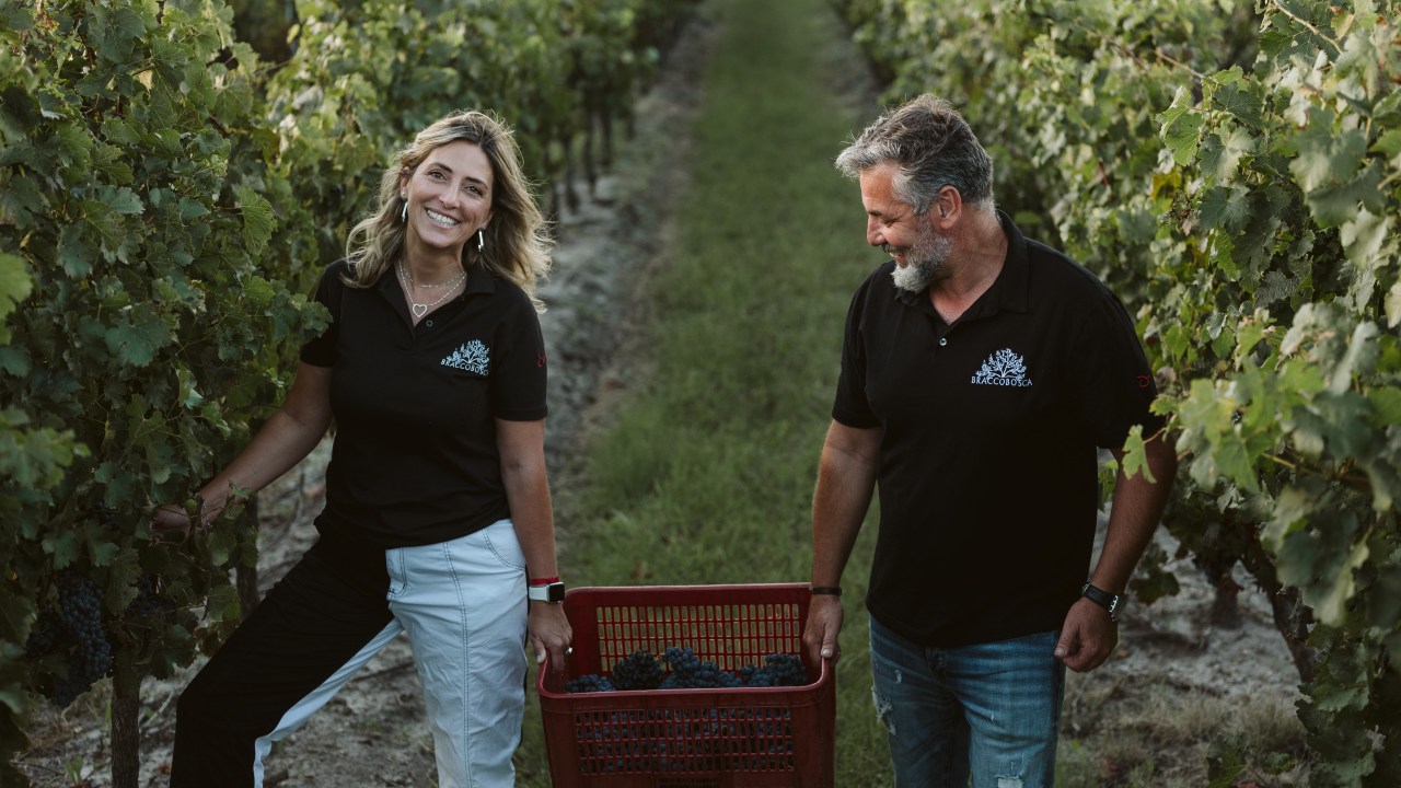 Vinícola uruguaia oferece experiência única com Laboratório do Vinho para visitantes