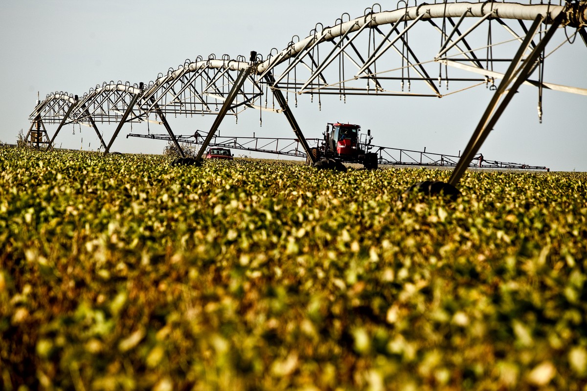 Queda nos preços de commodities faz IGP-M recuar 0,49% em maio