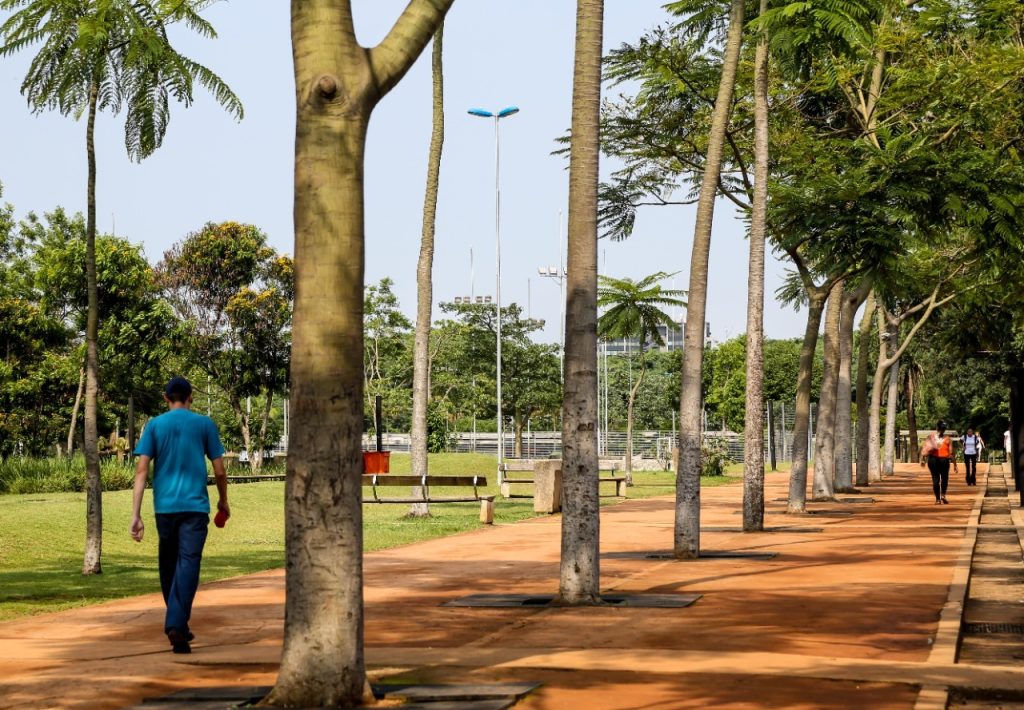 Governo de SP promove audiências públicas para discutir concessão de parques urbanos