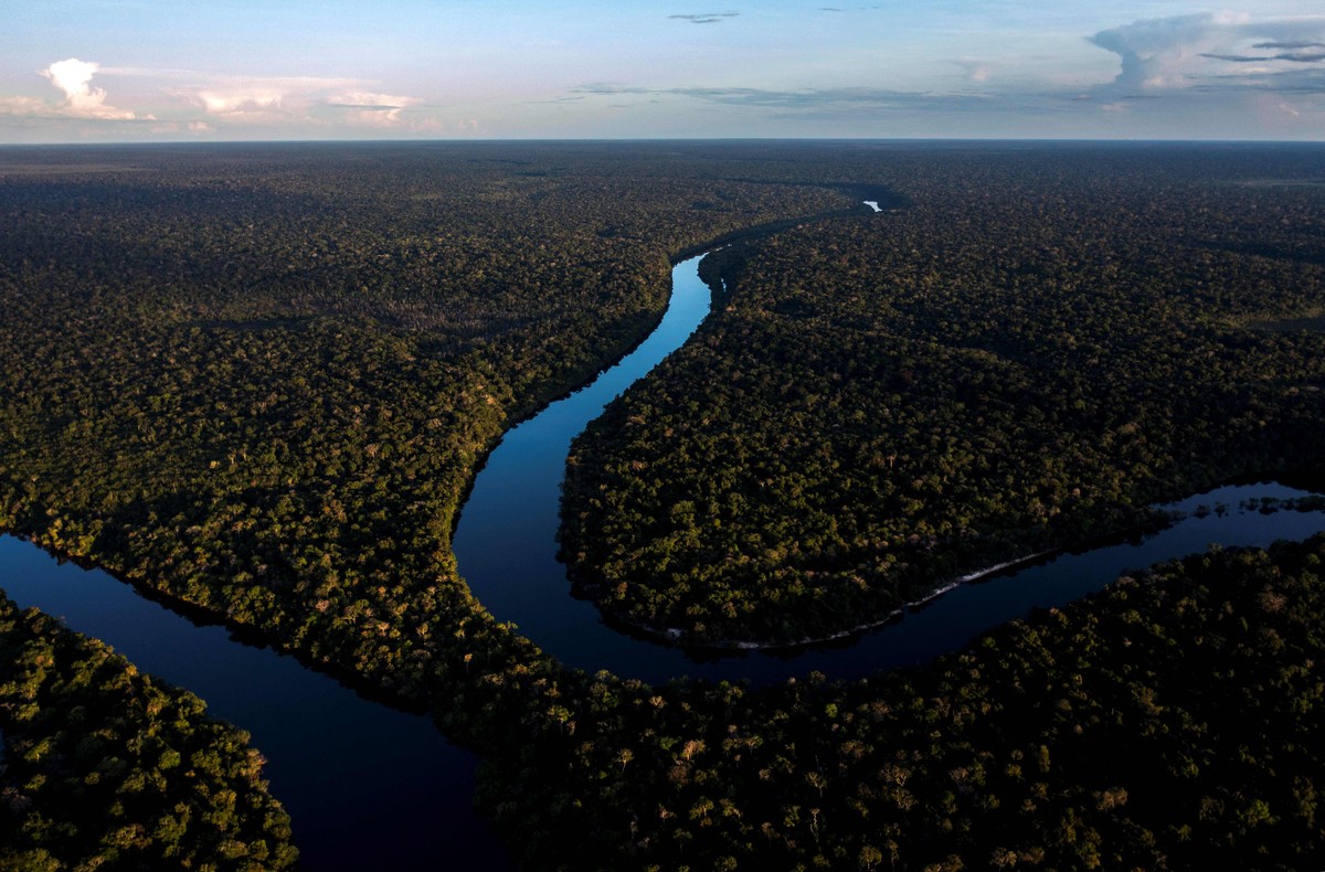 Marcas amazônicas enfrentam desafios, mas apostam na sustentabilidade e na beleza