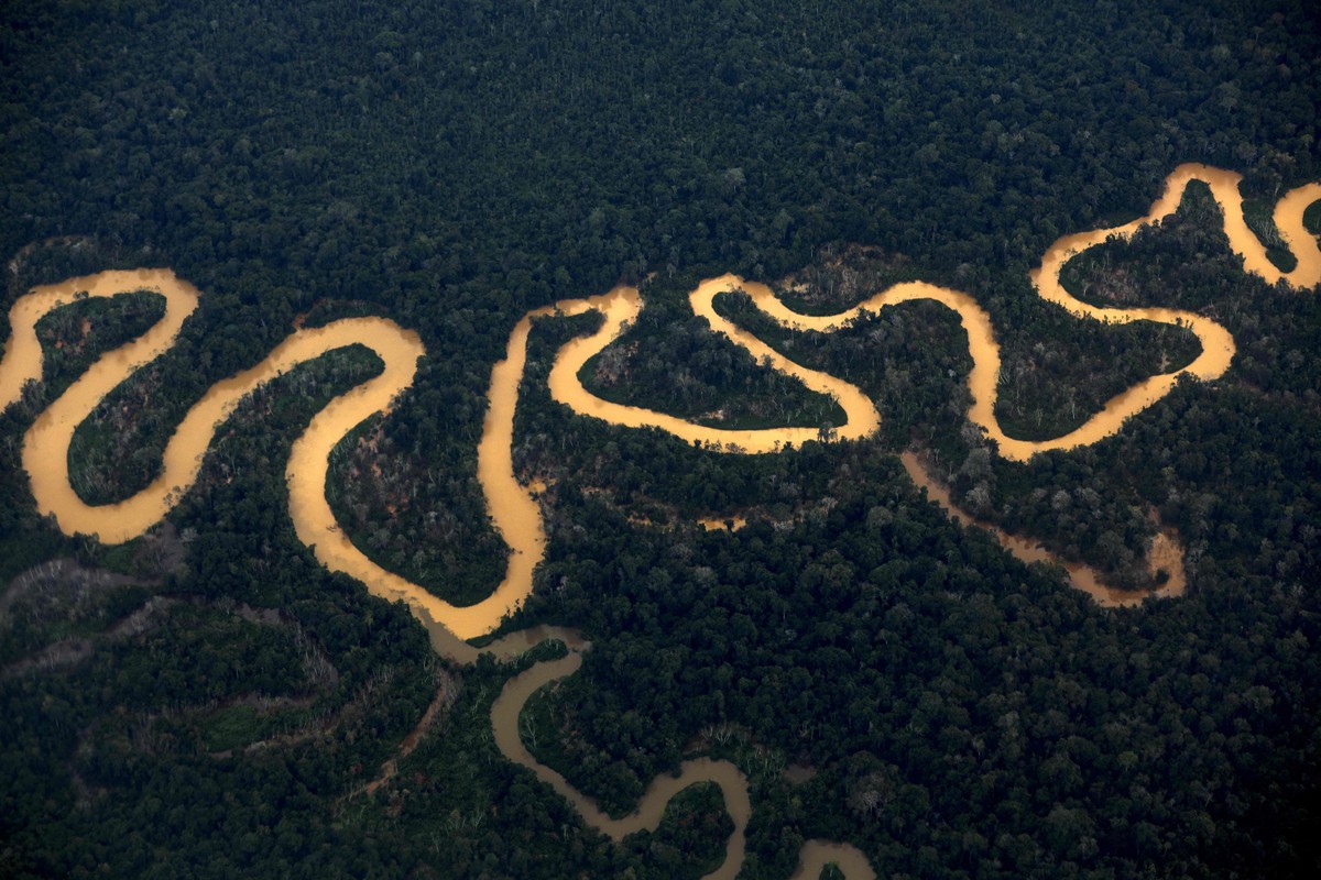 Decreto do Amazonas facilita grilagem e ameaça terras indígenas, alertam especialistas