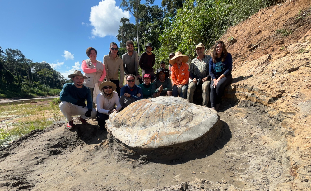 Fóssil de tartaruga gigante de 10 milhões de anos é descoberto no Acre