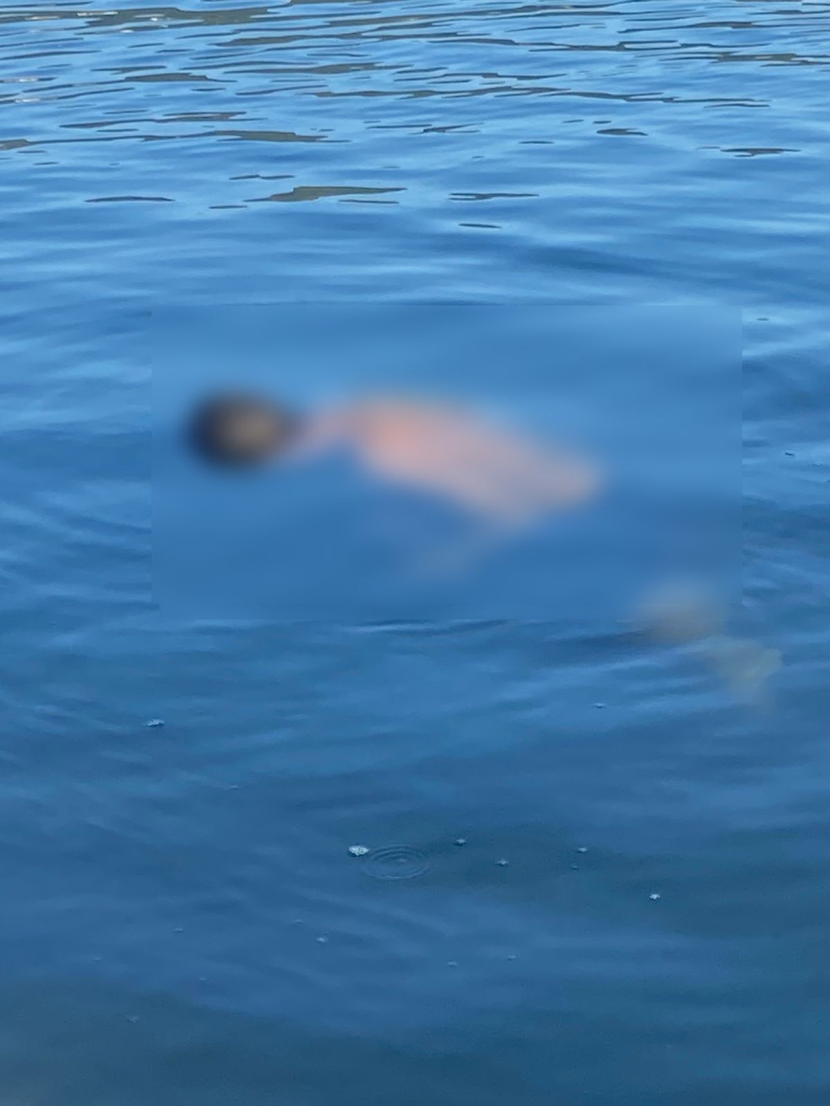 Corpo de homem em lagoa é identificado; ele tinha histórico criminal e era morador de rua