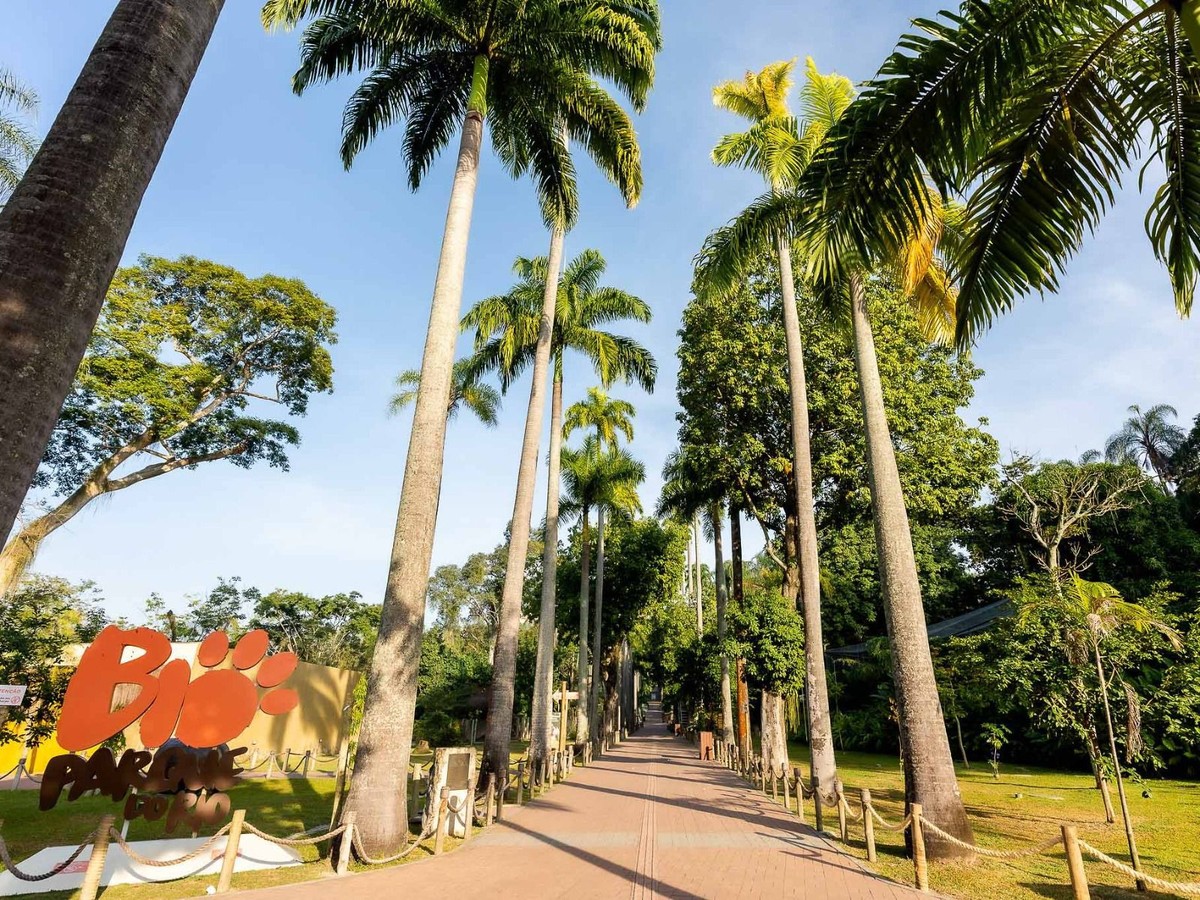 Gripe aviária é detectada em galinhas-d'Angola no BioParque do Rio e causa mortes