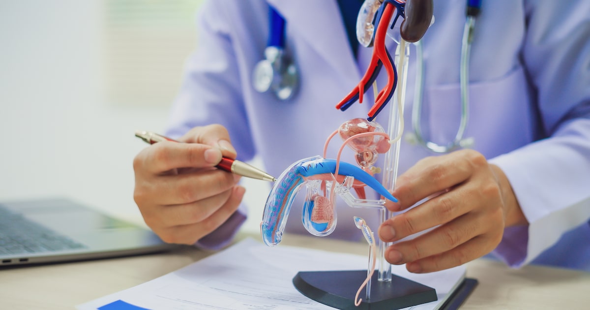 Câncer de pênis provoca feridas e pode evoluir para metástase em outros órgãos. Prevenção é considerada simples e requer medidas como boa higienização e vacinação contra o HPV. (Foto: Chiraphong/Adobe Stock)