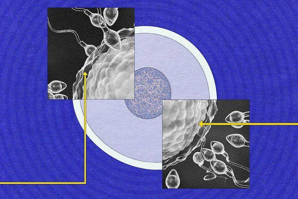 Cientistas revelam mistérios sobre o espermatozoide e sua importância na reprodução