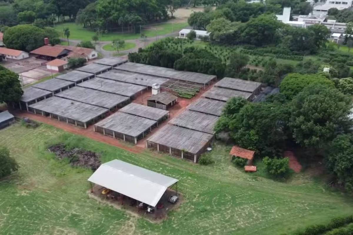 A Fazenda Santa Elisa, do Instituto Agronômico de Campinas (IAC) (Foto: Reprodução/Eptv)