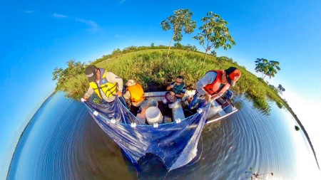 Perda de habitats naturais e espécies exóticas afetam a pesca no rio Paraná