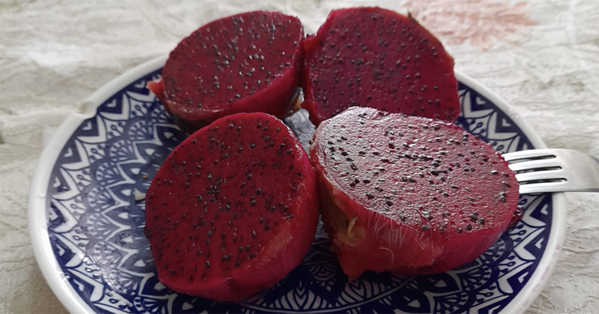 Pitaya probiótica ativa gene que combate inflamações intestinais