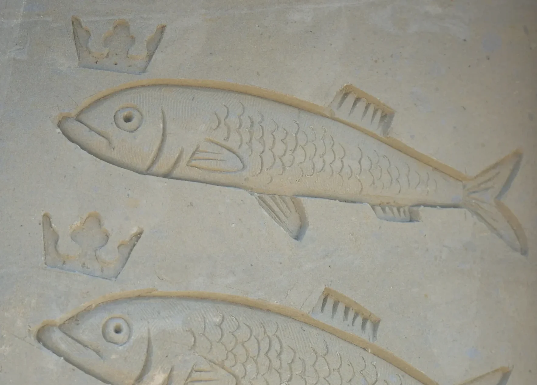 Cientistas descobrem novo peixe predador que habitou os mares antigos