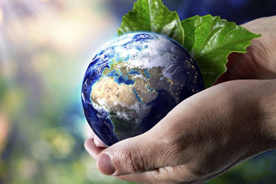 COP30 estabelece agenda oficial com temas importantes para discussão ambiental