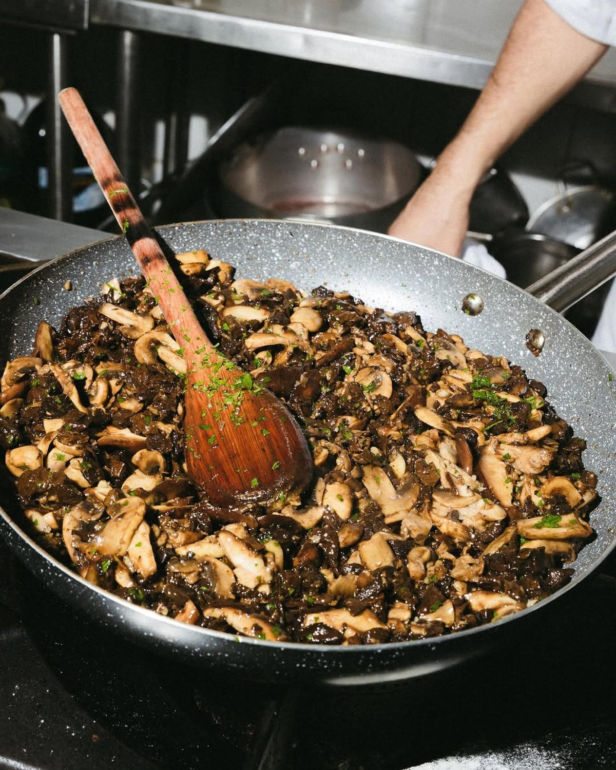 Lasanha ao funghi do Cucco Lasagna, novidade do grupo que comanda o restaurante Il Leone, em Botafogo (Foto: Reprodução/Instagram)