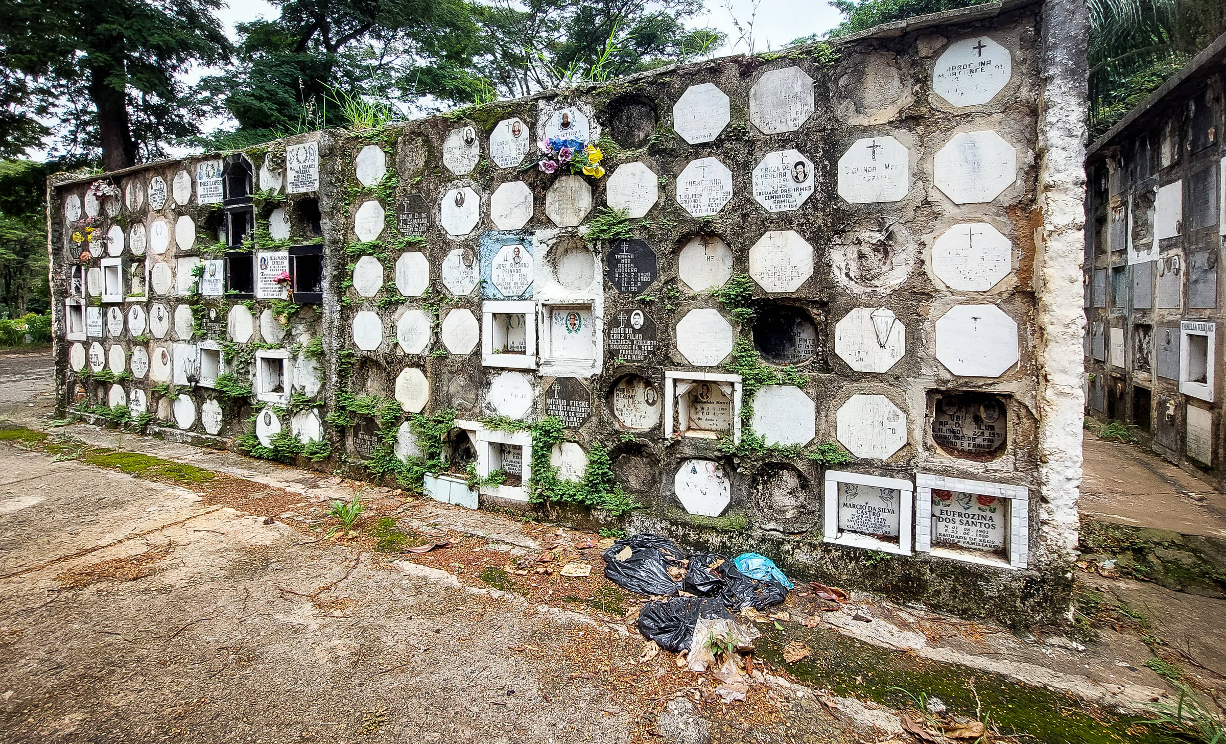 Concessionárias funerárias em São Paulo acumulam 229 infrações em três meses