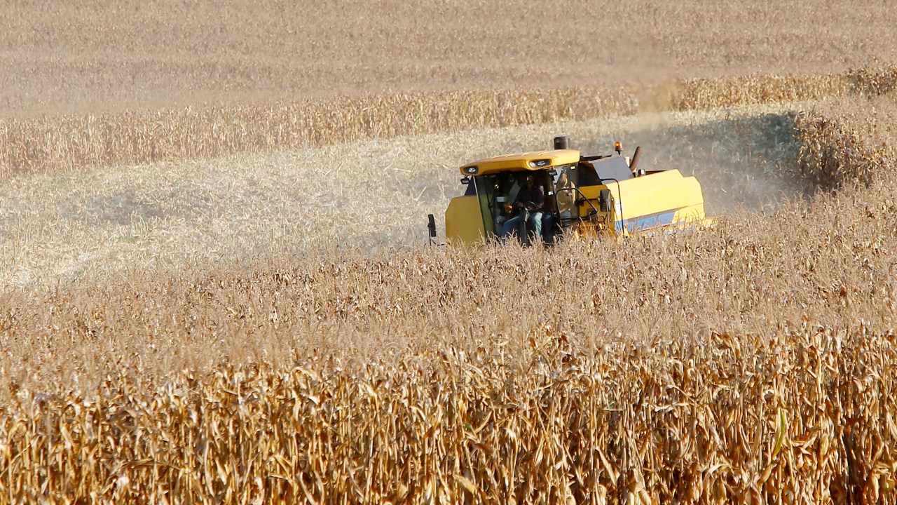 PIB do Paraná supera crescimento dos EUA em 2025 impulsionado pela agropecuária
