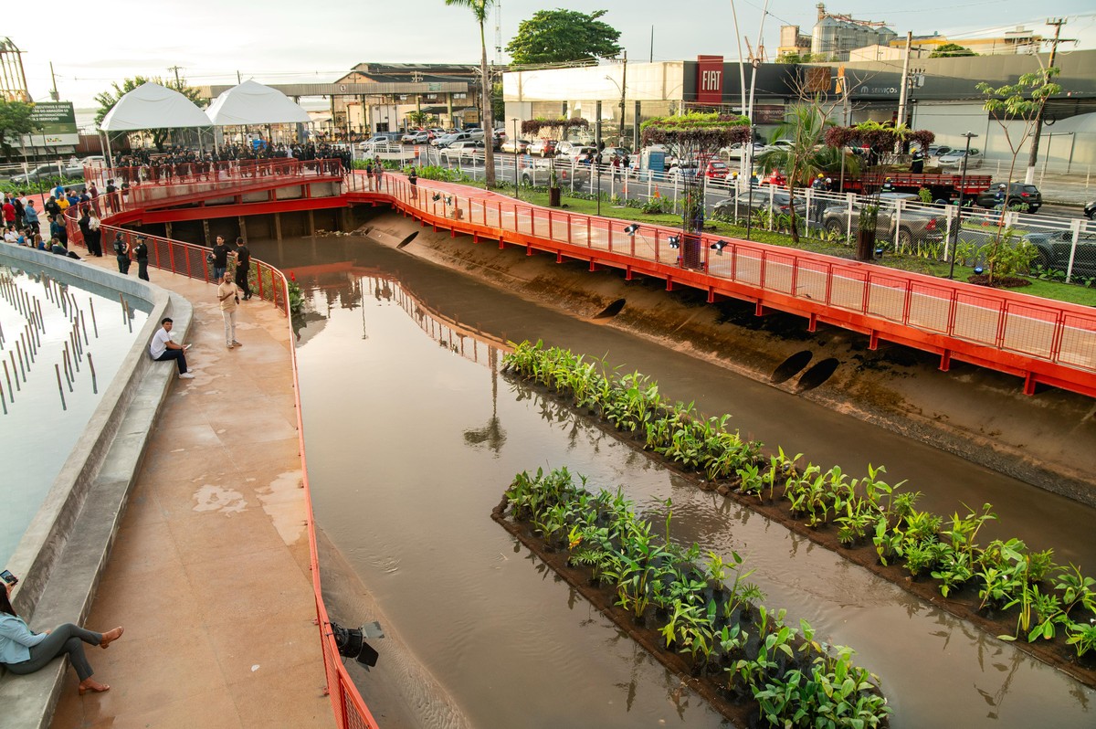 COP em Belém gera debate sobre impactos reais para população e meio ambiente
