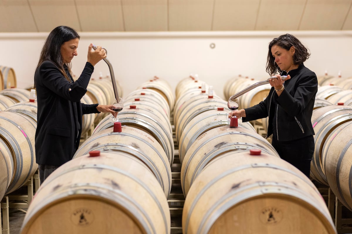 Artesa traz a essência espanhola e inovação ao vale de Napa com vinhos únicos