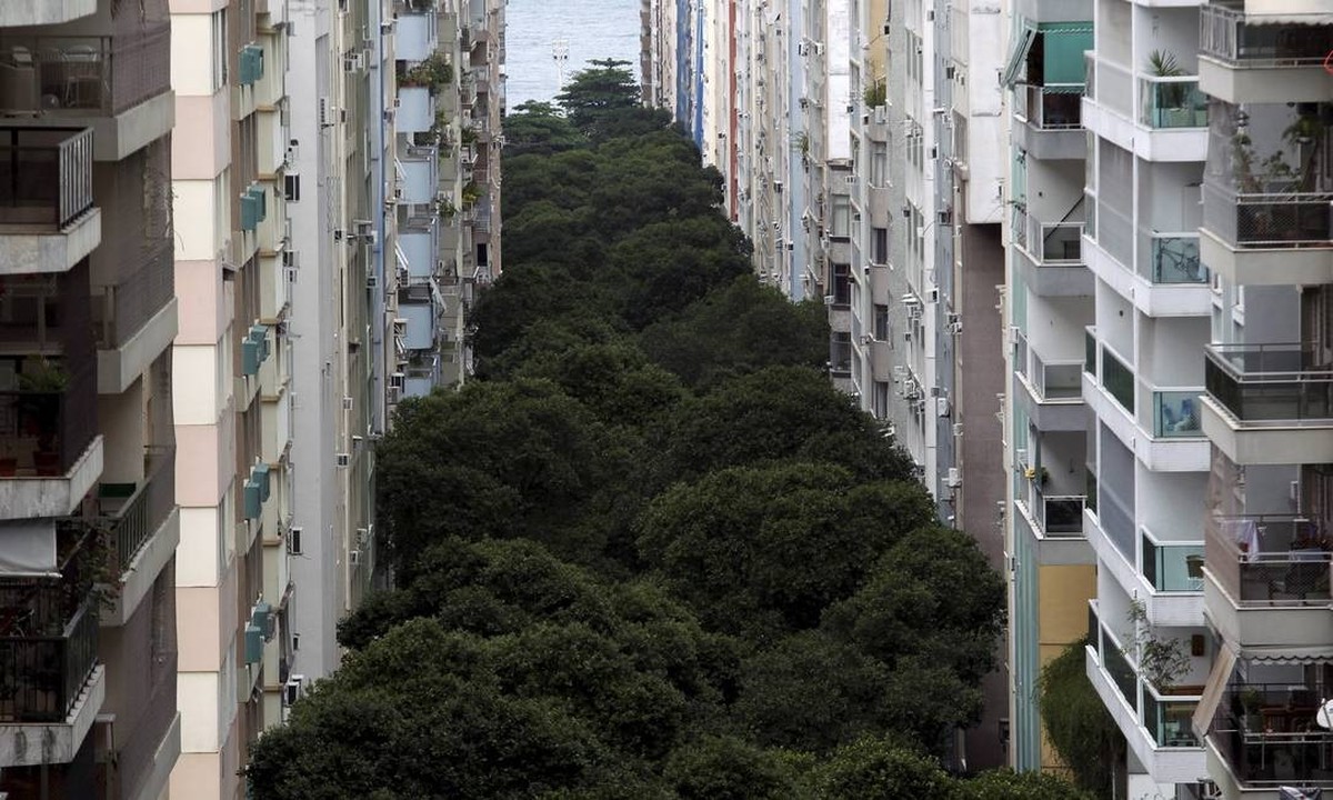 Câmara aprova proteção de árvores de rua em Copacabana para preservação ambiental