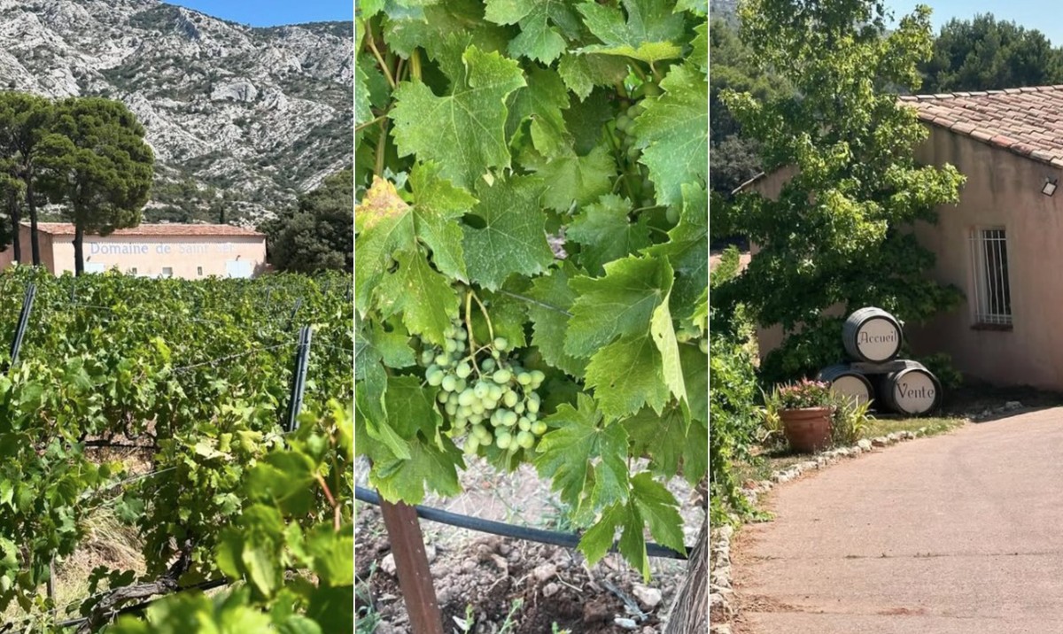 Foire Aux Vins apresenta vinhos de 20 produtores de 15 regiões francesas