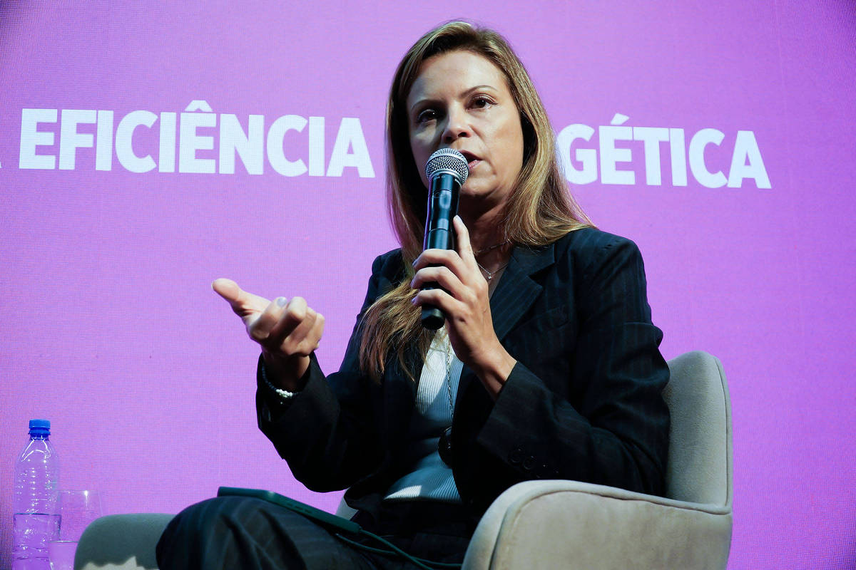 Fórum propõe nova estratégia de financiamento privado para clima e natureza
