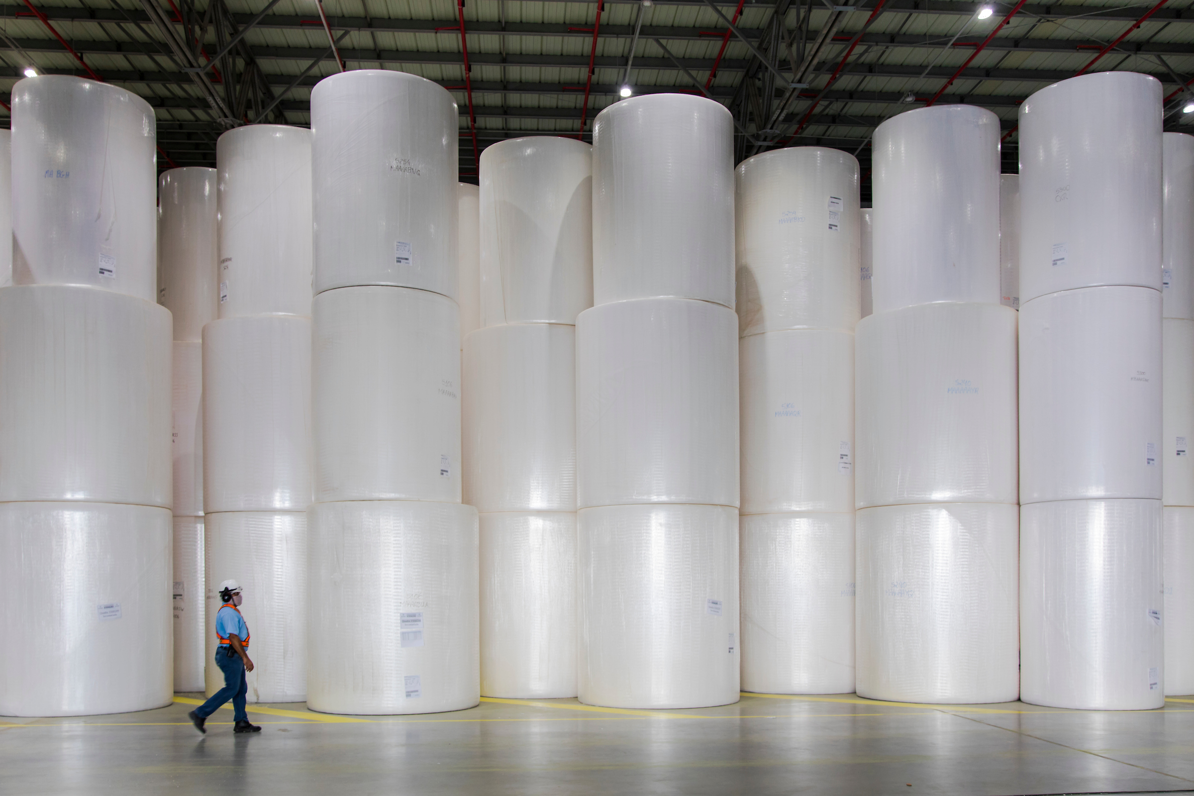Klabin e Suzano apresentam resultados do 2T25 e expectativas do mercado se intensificam