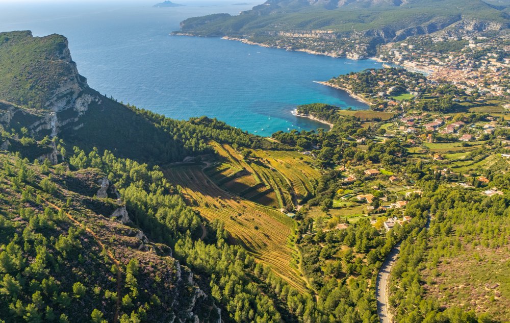 Descubra as melhores opções de enoturismo entre Cassis e Bandol para sua viagem