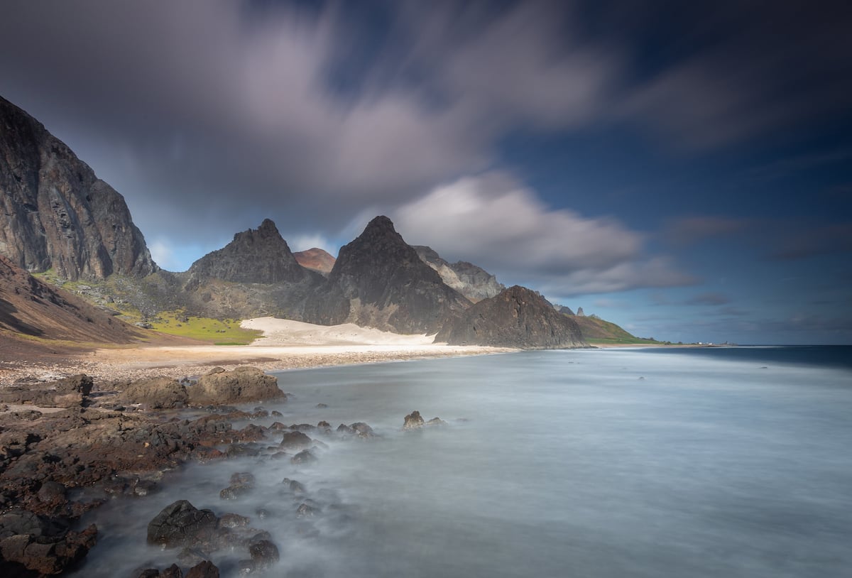Cabras transformam a ilha de Trindade em um ecossistema em renascimento natural
