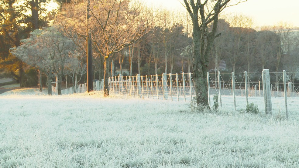 Frio intenso atinge o Centro-Sul e mínimas chegam a -7°C em cidades do Sul