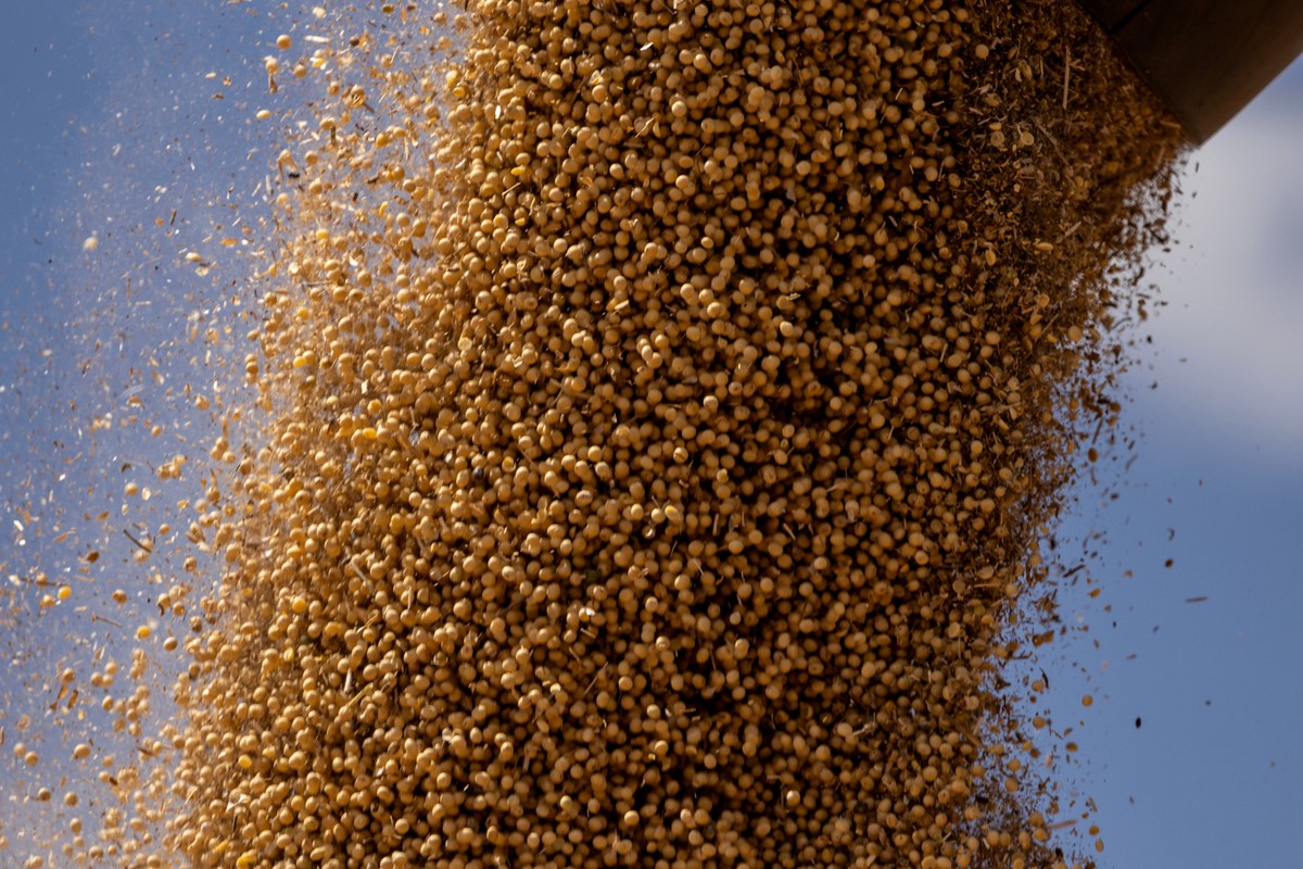 Agricultura e renda impulsionam crescimento econômico apesar de juros elevados