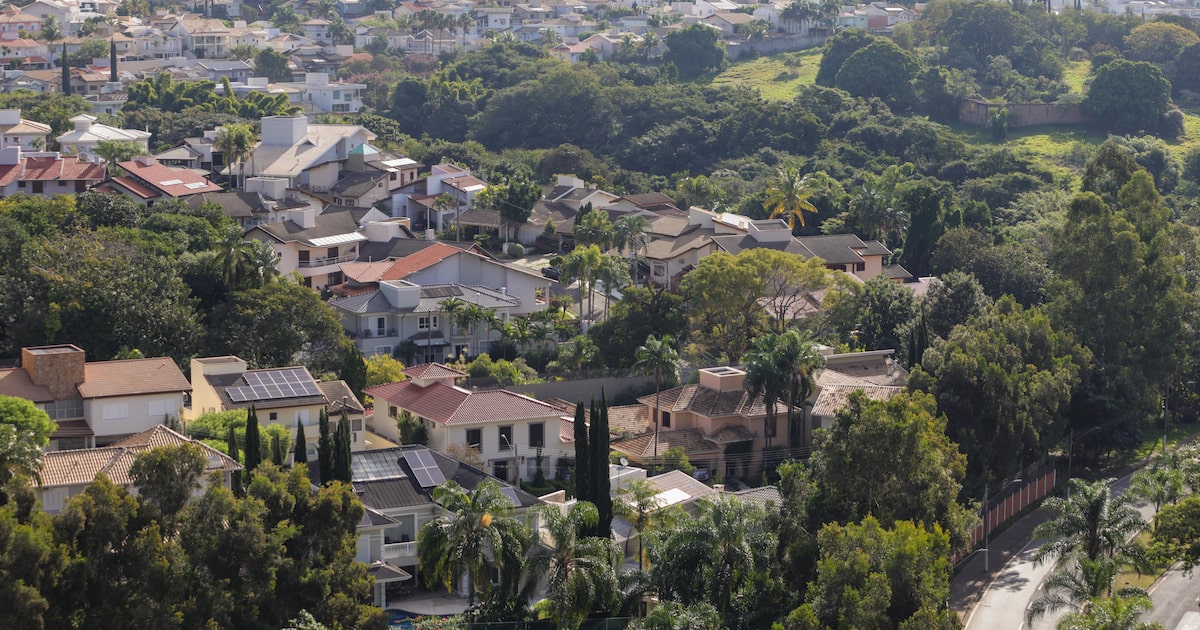 Valinhos, no interior de São Paulo, é o município do Estado com mais áreas urbanas arborizadas, segundo índice IPS. (Foto: Tiago Queiroz/Estadão)