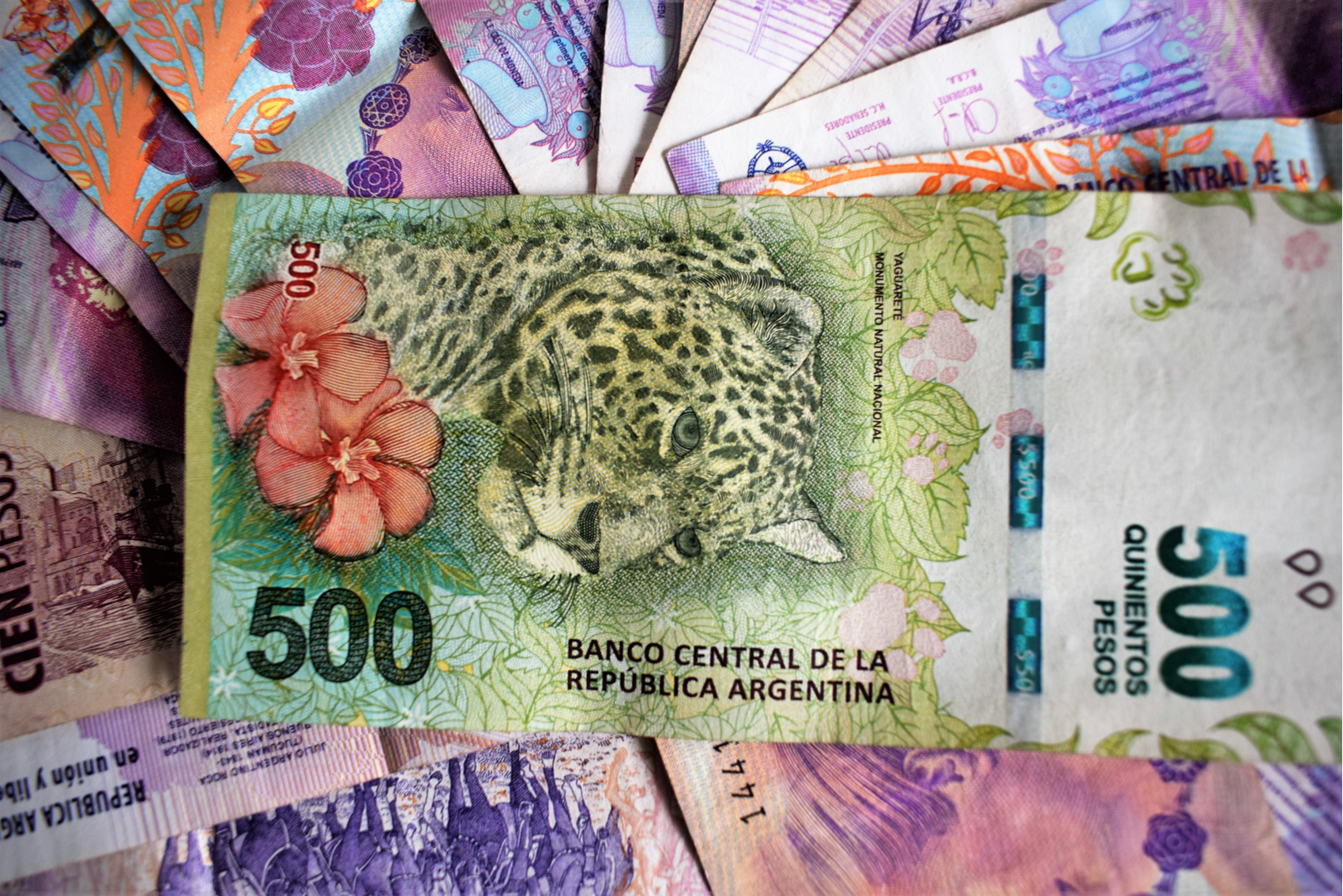 Peso argentino se recupera após liberação de controles cambiais e alívio da inflação