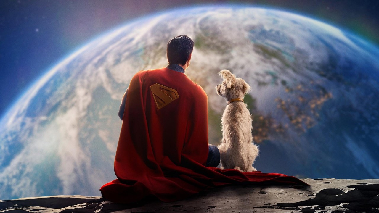 Busca por adoção de cães aumenta após sucesso de 'Superman' nas telonas