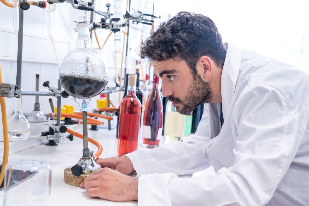 Cientistas monitoram diariamente a qualidade dos vinhos em Pessac