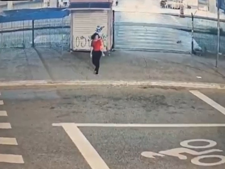 Bruna Oliveira da Silva foi vista pela última vez no dia 13, no Terminal Metrô Itaquera, na Zona Leste de São Paulo (Foto: Reprodução)