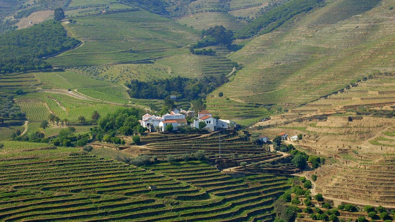 Robô transforma a produção de vinhos do Porto com inovação tecnológica