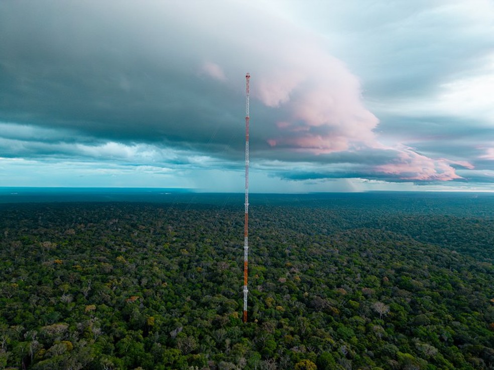 Poeira do Saara atinge Amazônia e cientistas analisam efeitos na floresta