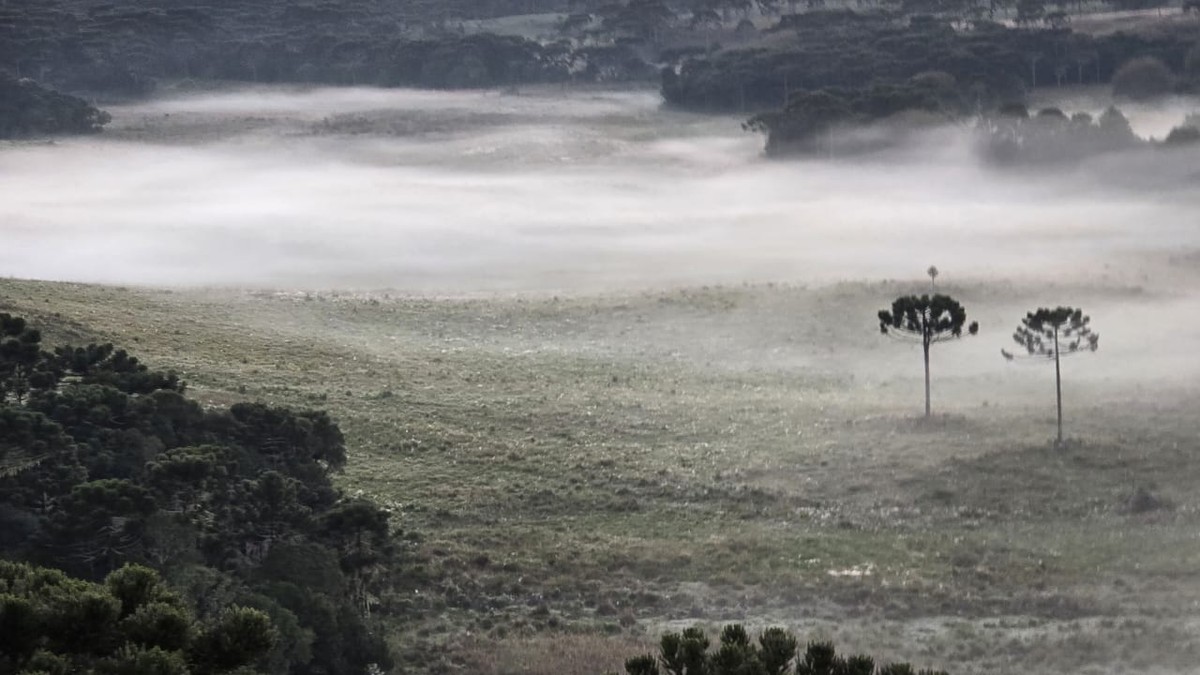Frio e geadas no Sul, enquanto Norte e Nordeste enfrentam chuvas neste domingo