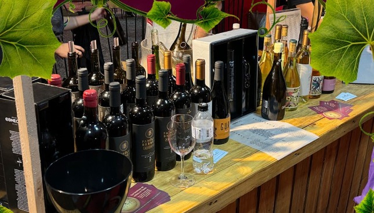 ViniBraExpo 2025 acontece de 15 a 17 de agosto na Barra com novidades imperdíveis